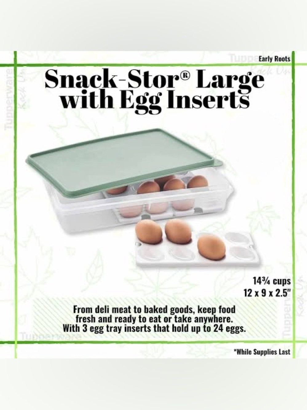 Tupperware Snack-Stor Large Food Container with Green Lid and Clear Base